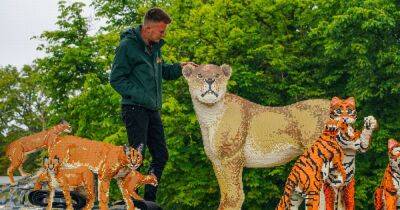 27 giant brick animals arrive at Knowsley Safari for this year's summer trail