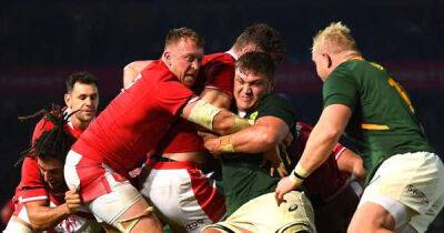 South Africa v Wales head-to-head ratings: How the teams match up for huge decider as Pivac's men ahead in one key area