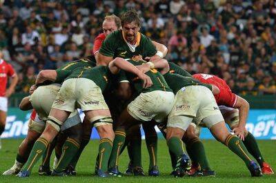 Boks bounce back as passion, grit floor Wales in series decider at thumping CT Stadium