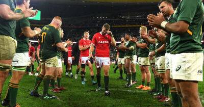 South Africa v Wales winners and losers as coaches earn respect and Springboks don't look like world champs