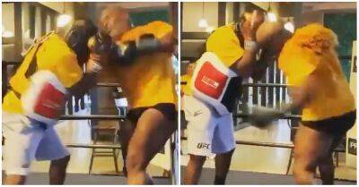 Jake Paul - Mike Tyson - Roy Jones-Junior - Mike Tyson sparring: Iron Mike lands monster body shots in fresh footage - givemesport.com