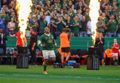 Cheerful Mbonambi savours 50th Bok cap, jokingly looks to 100: 'It hasn't been an easy journey'