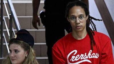 Brittney Griner guilty plea possible 'gamble' to speed up Russia exit: expert