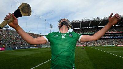 All-Ireland hurling final ratings: Heroic Hegarty steals show in Croker - rte.ie - Ireland