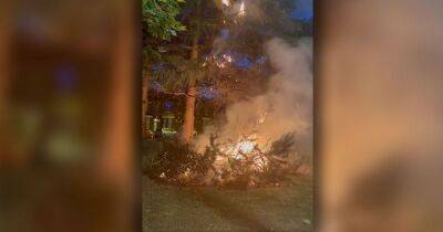 Footage captures moment tree catches fire during heatwave - manchestereveningnews.co.uk - Manchester