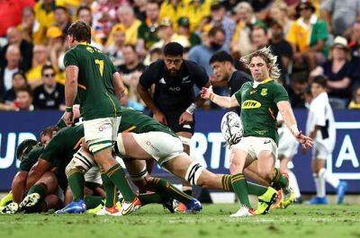 All Blacks are underdogs, but 'direct, physical, unimaginative' Boks aren't Ireland, says Kiwi scribe - news24.com - France - South Africa - Ireland - New Zealand