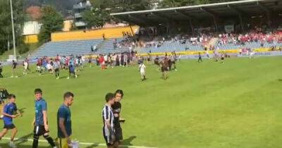 Callum Wilson - Lee Ryder - Lorraine Kelly - Newcastle's pre-season friendly defeat to Mainz ends in chaos as supporters invade pitch - msn.com - Britain - Portugal