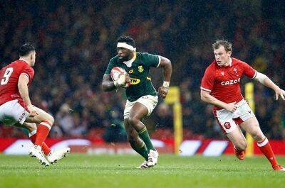 Champions South Africa begin World Cup countdown against lowly Wales