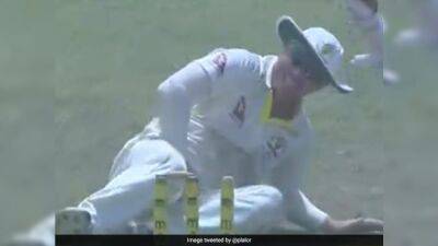David Warner Cops An Unfortunate Blow, Twitter Can't Stop Laughing