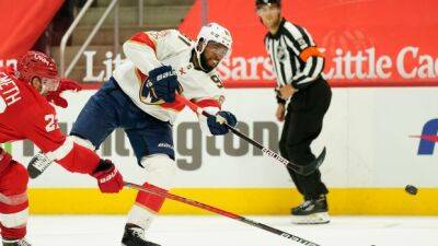 Panthers F Duclair undergoes Achilles tendon surgery