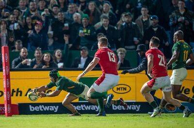 Dan Biggar - Ryan Elias - Damian Willemse - Elton Jantjies - Willemse sparks second-half magic to save Boks from embarrassing first home defeat against Wales - news24.com - France - Australia - Georgia