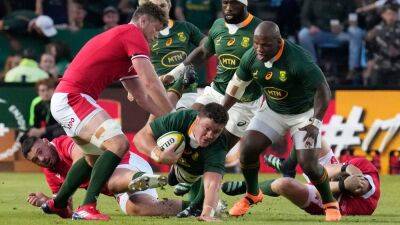 Dan Biggar - Dewi Lake - Wayne Pivac - Rhys Carre - Damian Willemse - Elton Jantjies - Phil Bennett - Rugby Union - Late heartbreak for Wales despite spirited showing in first South Africa Test - bt.com - Britain - Italy - South Africa - Ireland -  Pretoria
