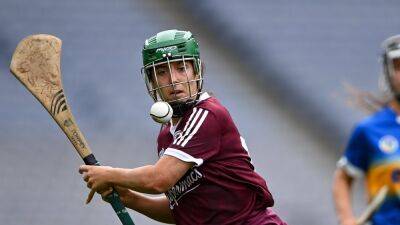 Camogie wrap: Six left standing after Super Saturday