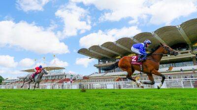 Quinn gives Mr Wagyu green light for Goodwood