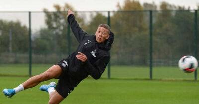 Ticks and crosses as Stoke City look to pull Dwight Gayle out of Newcastle Utd wilderness