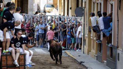 Three people killed during traditional bull runs in eastern Spain - euronews.com - France - Spain - county Valencia