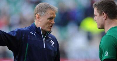 Brian O’Driscoll: Ireland legend backs Joe Schmidt to take over All Blacks coaching reins