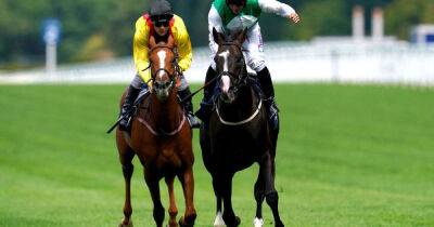 Pyledriver stuns opposition and claims King George crown at Ascot