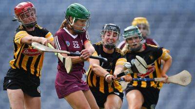 Half-time hairdryer treatment spurred Kilkenny on, admits Dowling - rte.ie - Ireland