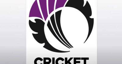 Cricket Scotland board steps down ahead of 'devastating' report release