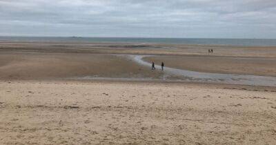 Warning to swimmers over 'world's longest animal' spotted at Wales beach - manchestereveningnews.co.uk - Manchester - Scotland - Usa - state Massachusets