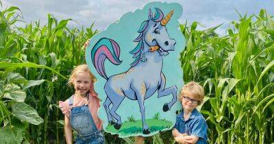 Enchanted Maize Maze with unicorn and wizard opens near Manchester for the school holidays - manchestereveningnews.co.uk - Manchester