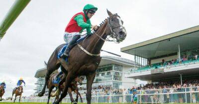 Willie Mullins - Patrick Mullins claims long-awaited victory in Galway Race amateur highlight - breakingnews.ie - Netherlands