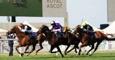 John Smith - Harry Redknapp - ITV Racing tips: Newsboy's best bets for Tuesday at Goodwood including Gold Cup king - msn.com - Japan - Dubai