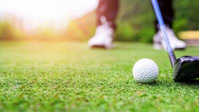 Tiger Club’s inaugural executive tourney draws over 300 golfers to Ibadan - guardian.ng