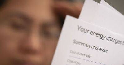 Energy price cap warning as fears household bill could hit £500 in January