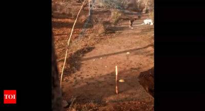 Rahul Gandhi asks CM Ashok Gehlot to help Rajasthan boy practising bowling using fishing net - timesofindia.indiatimes.com