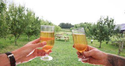 Greater Manchester's only cider press where you can drink a pint in a picturesque orchard