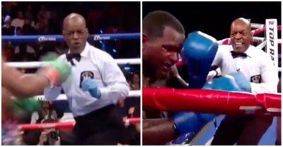 Boxing referee Steve Willis’ facial expressions are more entertaining than the fights - givemesport.com - Usa