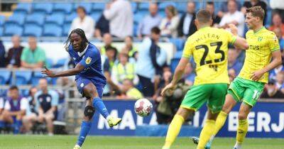 Cardiff City 1-0 Norwich City: 10-man Bluebirds produce statement victory thanks to Romaine Sawyers stunner