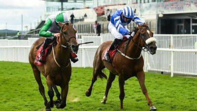 Blackmore & 'Shark' strike with Hallowed Star at Galway