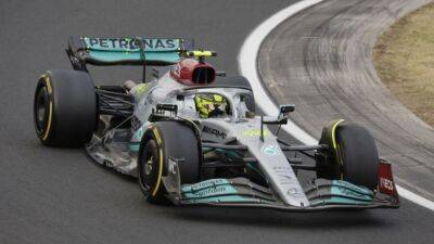 Verstappen wins Hungarian Grand Prix