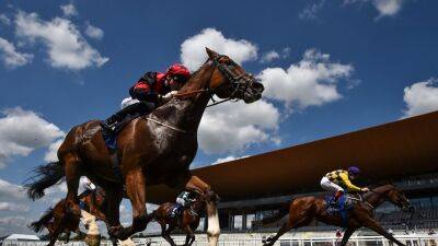 Current Option takes final day feature at Galway