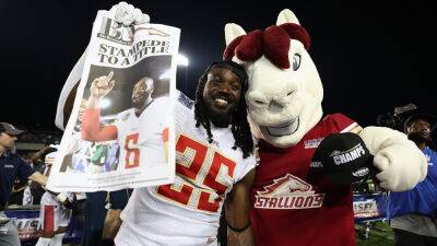 USFL Championship: Stallions hold off Stars in thriller for title