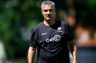 Sean Everitt - Neil Powell - Currie Cup - EXPLAINER | Sharks' new coaching structure for 2022/23 season - news24.com - France