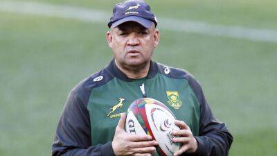 Damian Willemse - Willie Le-Roux - Jacques Nienaber - Elton Jantjies - Handre Pollard - Rugby Union - South Africa aiming to improve kicking game ahead of second Test against Wales - bt.com - South Africa -  Pretoria