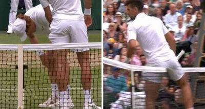 Novak Djokovic climbs over Wimbledon net to help Jannik Sinner after injury scare