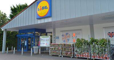 Lidl shopper explains how they got £28 weekly shop for £7.75 with app trick anyone can do