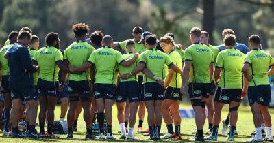 Wallabies rediscover their character before stepping into Brisbane cauldron