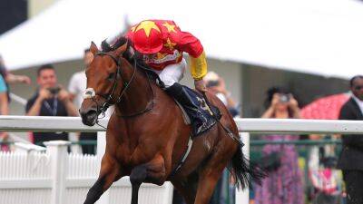 State Of Rest set to drop in trip for Prix Jacques le Marois at Deauville - rte.ie - France - Australia - Ireland - county Valley