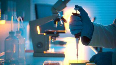 Langya virus: How worrying is the new animal-to-human LayV virus spreading in China? - euronews.com - China - Beijing - province Shandong