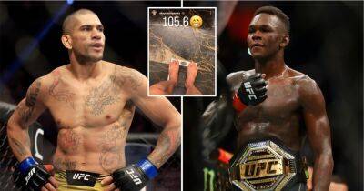 UFC 281: Alex Pereira weighs 232lbs ahead of Israel Adesanya trilogy fight