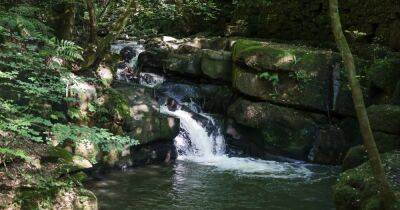 The peaceful nature reserve in Greater Manchester with woodland and waterfalls
