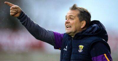 Davy Fitzgerald confirmed as Waterford senior hurling manager
