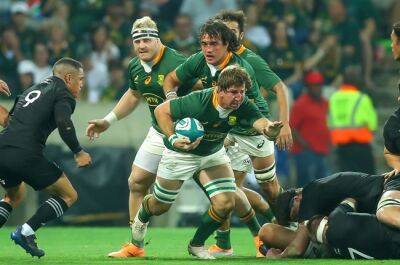 Bok v All Black benches: On paper, a yawning gap