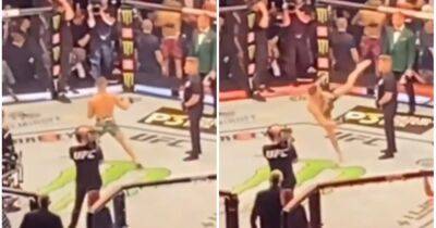 Conor McGregor vs Dustin Poirier 3: Security guard didn't even flinch at Notorious